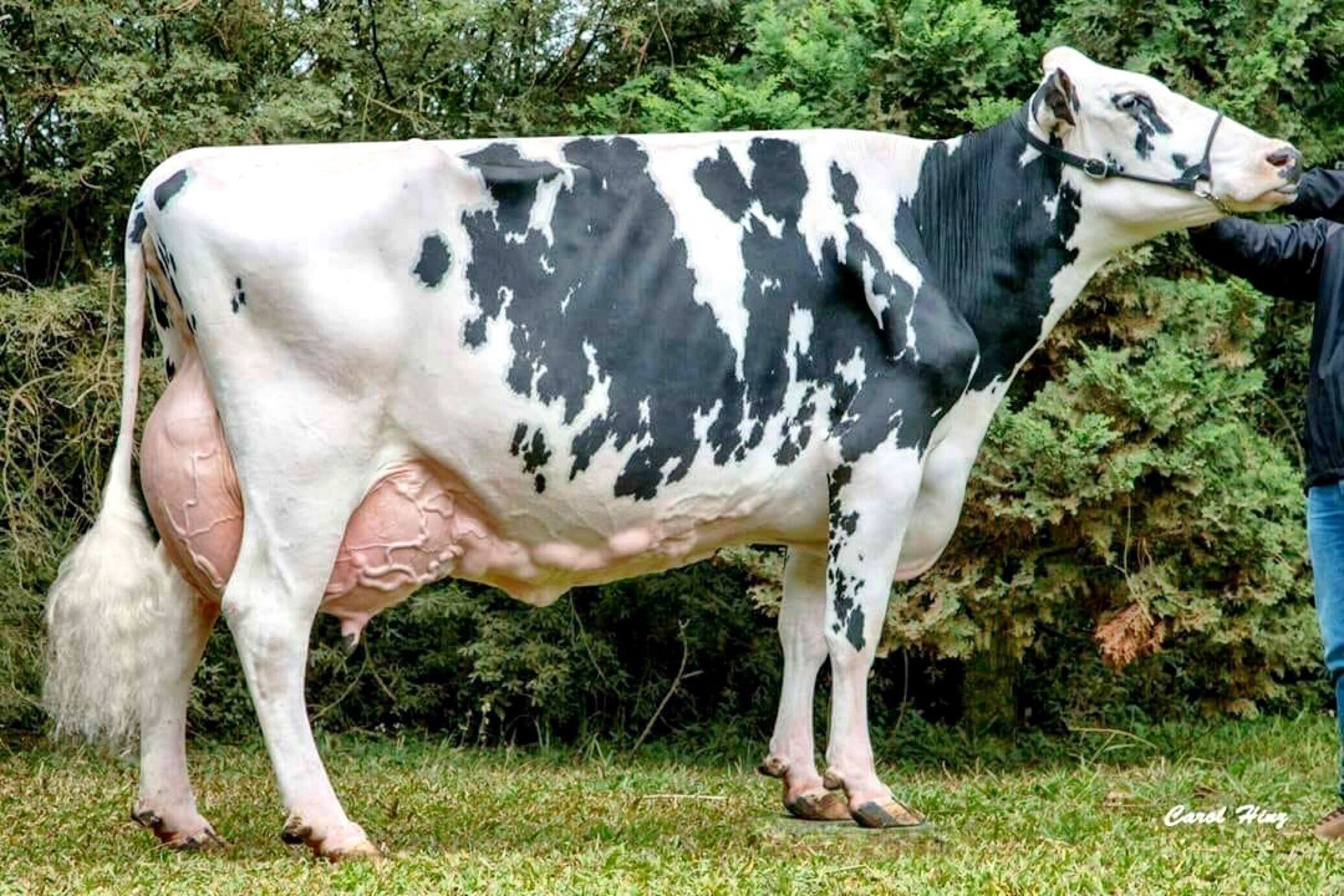 f350fd56570eb9dd66f4ebd5ff754250